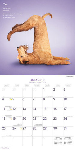 July — Plow Pose July — Plow Pose