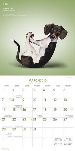 March — Full Boat Pose March — Full Boat Pose