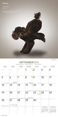 September — Crane Pose September — Crane Pose
