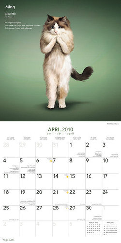 April — Mountain Pose April — Mountain Pose