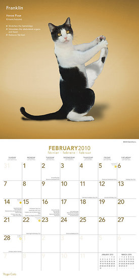 February — Heron Pose