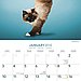 January — Headstand