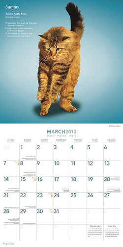 March — Bound Angle Pose March — Bound Angle Pose