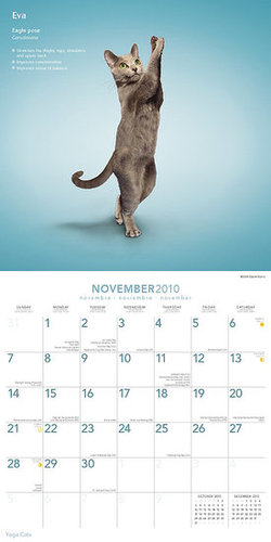 November — Eagle Pose November — Eagle Pose
