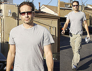 David Duchovny Is A Literary Figure