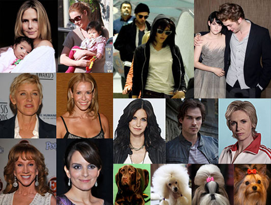 Best of 2009 Slideshows, Quizzes, & Polls! Best of 2009 Slideshows, Quizzes, & Polls!