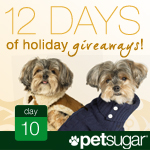 Win a New Doggie Wardrobe From Ralph Lauren! Win a New Doggie Wardrobe From Ralph Lauren!