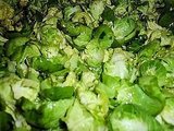 Leaf Us Alone Brussels Sprouts Leaf Us Alone Brussels Sprouts