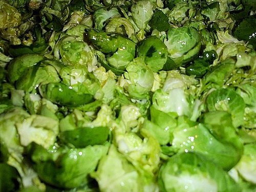 Leaf Us Alone Brussels Sprouts Leaf Us Alone Brussels Sprouts