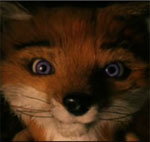 Exclusive Clip of The Fantastic Mr. Fox Movie