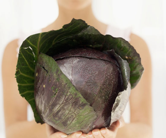 Cabbage