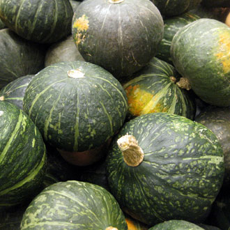 Can You Guess the Winter Veggies? Can You Guess the Winter Veggies?