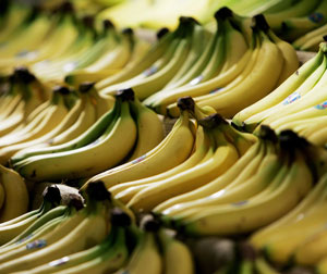 Does the Morning Banana Diet Work?