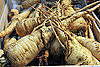 Cooking and Eating Parsnips