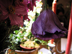 Casa Quickie: Move Flowers Off the Table Casa Quickie: Move Flowers Off the Table