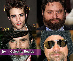 Celebrities With Beards