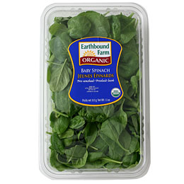 Fast & Easy Recipe for Chicken and Spinach Quesadillas 2009-12-18 13:52:08 Fast & Easy Recipe for Chicken and Spinach Quesadillas 2009-12-18 13:52:08