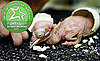 The Results Are In: Oddest-Looking Zoo Birth