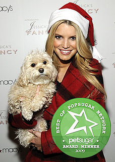 The Results Are in: Most Missed Celebrity Pet