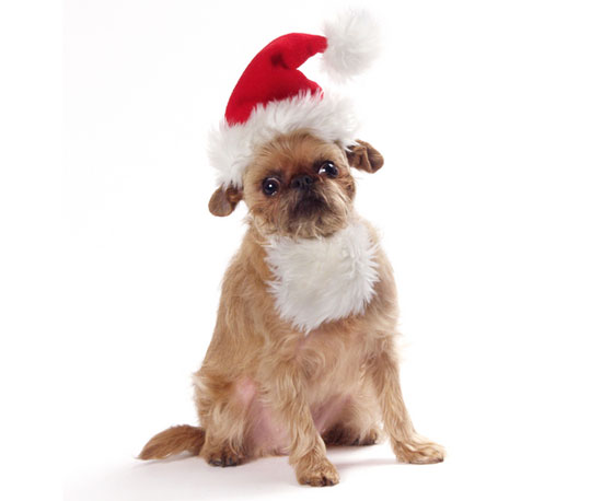 Santa Hat, Beard Included