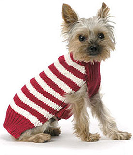 Candy Cane Sweater: Spoiled Sweet or Spoiled Rotten?