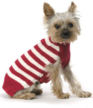 Candy Cane Sweater: Spoiled Sweet or Spoiled Rotten?
