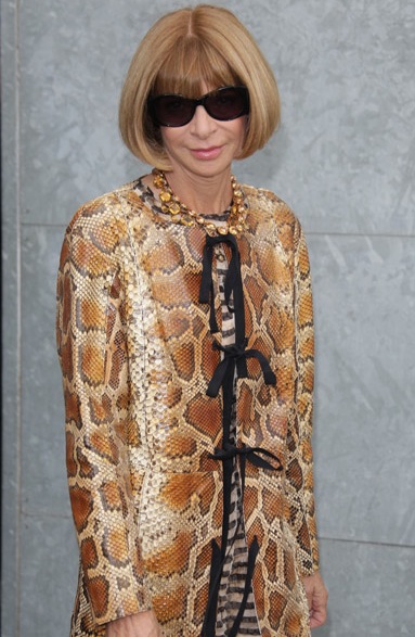 Anna Wintour's Golden Year Anna Wintour's Golden Year