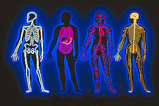 How Well Do You Know Your Anatomy?