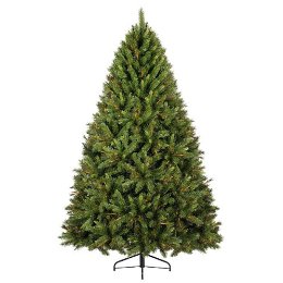 Would You Rent a Christmas Tree?