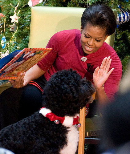 Bo's Holiday Included Snow and Storytime! Bo's Holiday Included Snow and Storytime!