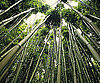 GeekSugar's Favorite Eco Friendly Posts of 2009