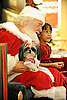 Did Santa Meet, Surpass or Fall Short of Expectations?