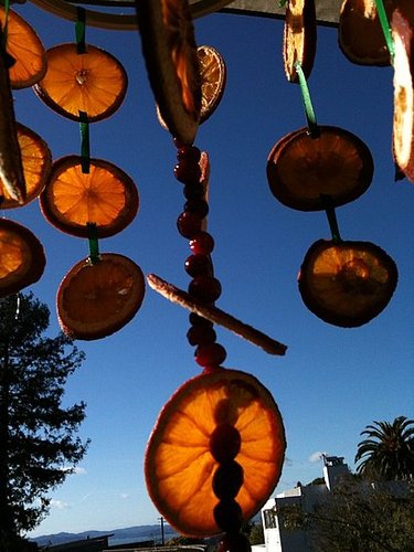 The 11th DIY of Christmas: A Chandelier For the Birds