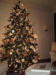 Guess Whose Christmas Tree This Is?