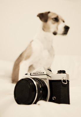 Turn 2010 Into the Year of the Picture! 