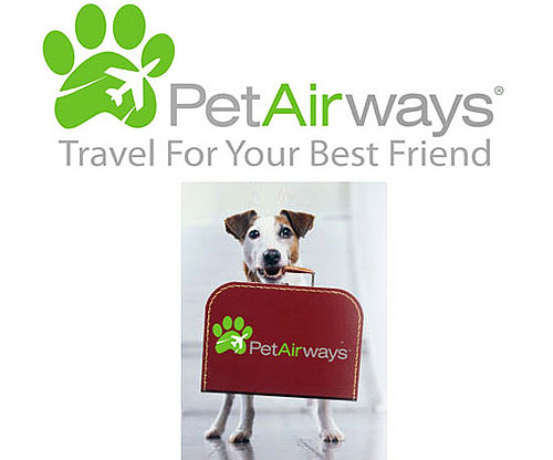 Pet Airways Hits the Furry Skies Pet Airways Hits the Furry Skies