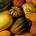 Squash
