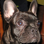 I'm All Ears
