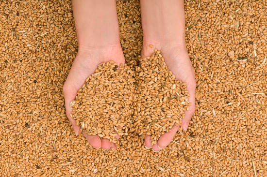 Whole Grains