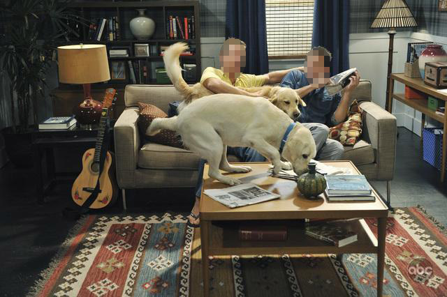 Image Image