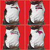Are Your Pets Ready to Rock Jersey Shore Gear?