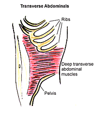 Finding Your Deep Abs! Finding Your Deep Abs!