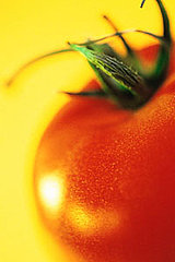 Tomato Paprika Salad Dressing Tomato Paprika Salad Dressing