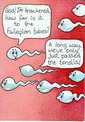 Semen: What Do You Know? Semen: What Do You Know?