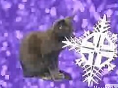 I Almost Forgot About...JINGLE CATS!