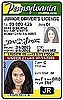 Do You Like Your Driver's License Photo?  