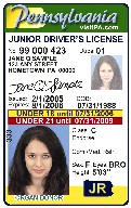 Do You Like Your Driver's License Photo?  