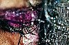 Marilyn Minter and Mac Collaboration