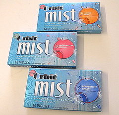 Chewing Gum Flavors