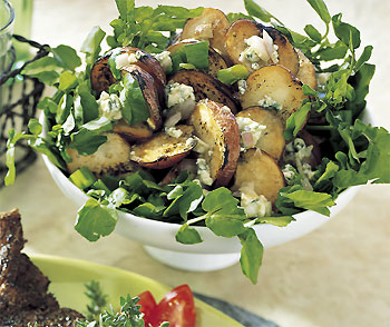 Outdoor Concert Menu